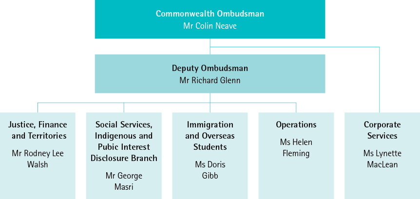 Figure 1 shows the Executive and Senior Management structure at 30 June 2015