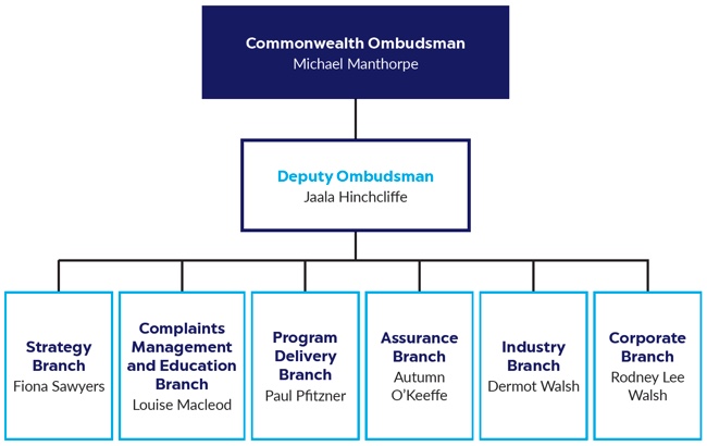 Figure 1 – Executive and senior management structure at 30 June 2018